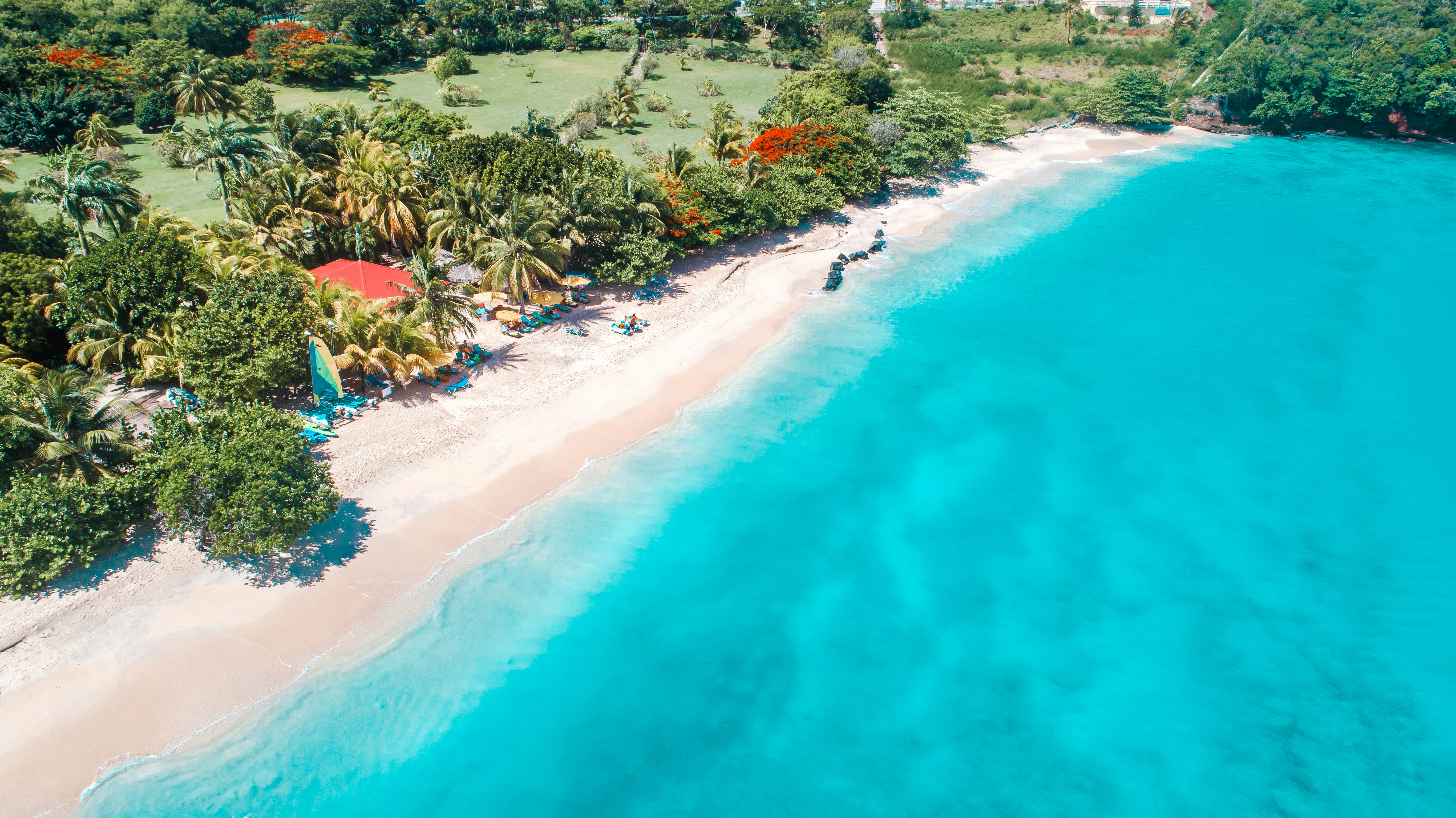 Aerial view of a tropical coastline