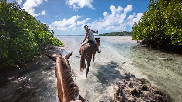 Guide to Vanuatu Citizenship by Investment Program for 2025