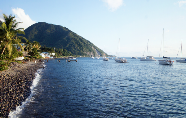 CitizenX Guide to Dominica Citizenship by Investment in 2025