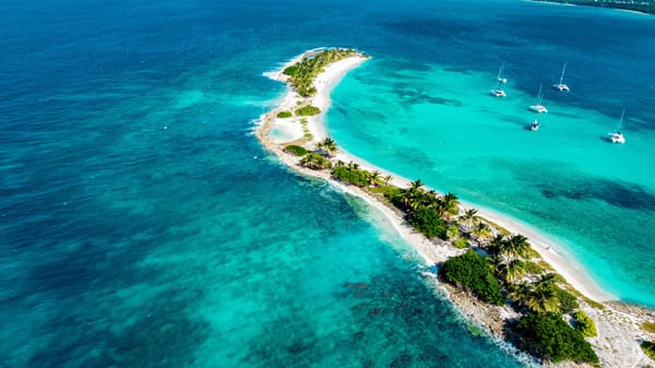 Will Your Country Find Out You Acquired a Grenada Passport?