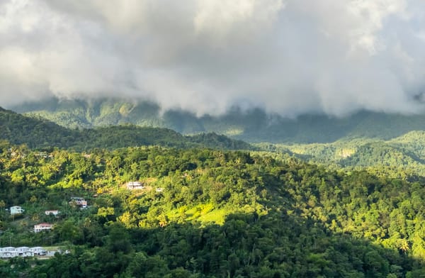 Guide to Dominica Citizenship by Real Estate Investment in 2025